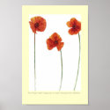 Three Poppy's posters
