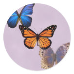 Three Pretty Butterflies stickers