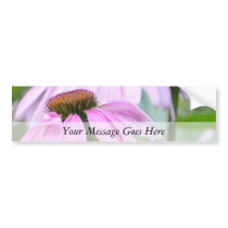 Three Purple Coneflowers