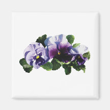 Three Purple Pansies Refrigerator Magnet