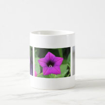 Three Purple Petunias Coffee Mugs