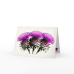 Three Scottish Thistles cards