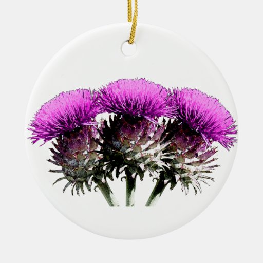 Three Scottish Thistles Zazzle