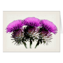 Three Scottish Thistles Greeting Cards