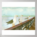 Three Seagulls on Railing posters