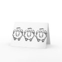 three sheeps cards