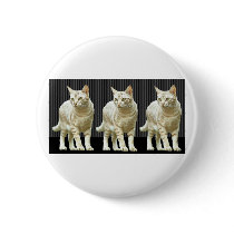 Three Snazzy Cats