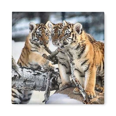 Three Tiger Cubs In Snow Art Gifts Fridge Magnets