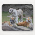 Three Tigers Mousepad