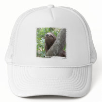 Three Toed Sloth Baseball Hat