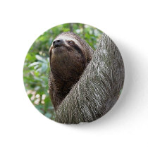 Three Toed Sloth Button