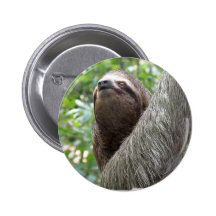 Three Toed Sloth Button