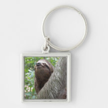 Three Toed Sloth Keychain