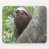 Three Toed Sloth Mouse Pad