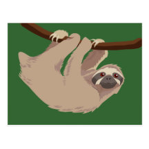 Three Toed Sloth Postcards