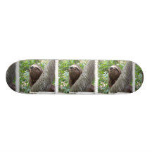 Three Toed  Sloth Skateboard