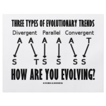 Three Types Of Evolutionary Trends (Evolution)