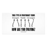 Three Types Of Evolutionary Trends (Evolution) photo cards