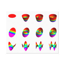 Three types of Zernike polynomials Stretched Canvas Print
