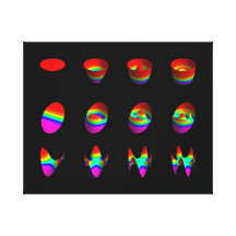 Three types of Zernike polynomials Canvas Prints