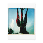 Three Union Flags postcards