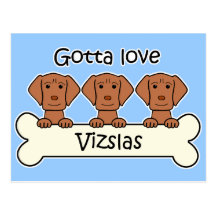 Three Vizslas Postcard