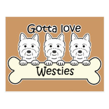 Three Westies Postcard