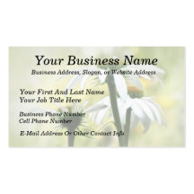 Three White Coneflowers Business Card