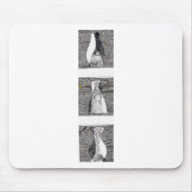 Three White Vases Mouse Pad