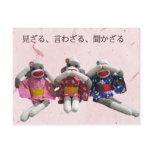 Three Wise Sock Monkeys Postcard