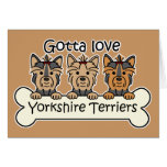 Three Yorkshire Terriers Greeting Cards