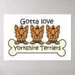 Three Yorkshire Terriers Poster