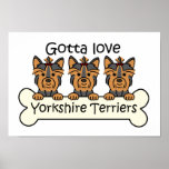 Three Yorkshire Terriers Print