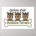 Three Yorkshire Terriers Print