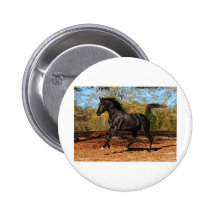 Through the Autumn leaves Pin