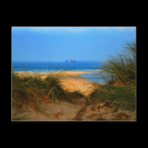 Through the Dunes postcards