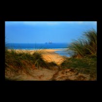 Through the Dunes posters