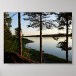Through the Pines Poster