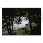 Through the Trees Card