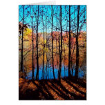 Thru Trees Cards