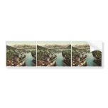 Thun and the Alps, Bernese Oberland, Switzerland c bumper stickers