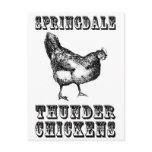 Thunder Chickens Postcard