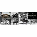 Thylacine Photos Cutout Magnet/Sculpture