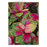 Ti Plants Card