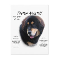 Tibetan Mastiff History Design