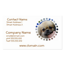 tibetan-spaniel-5.jpg business card template
