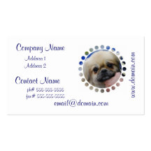 tibetan-spaniel-5.jpg business cards