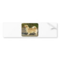 Tibetan Spaniel bumper stickers