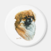 Tibetan Spaniel Fridge Magnet