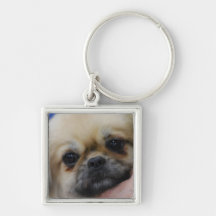 Tibetan Spaniel  Keychain